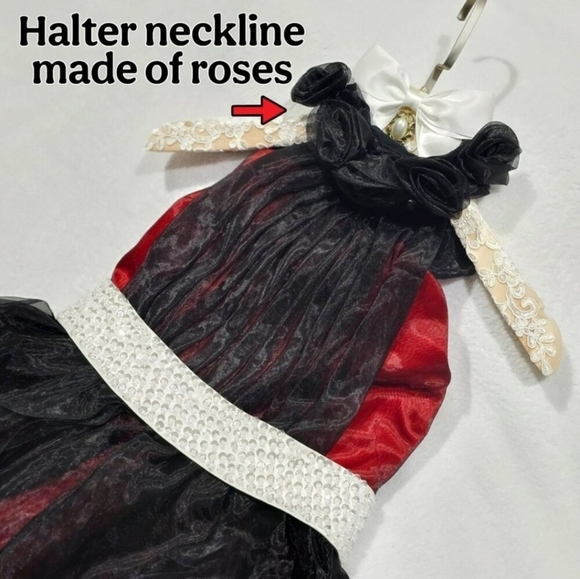 Custom Black & Red Chiffon Dress ✦ Girls 6 ✦ Handmade Roses Sparkle Sash Formal - Picture 6 of 16